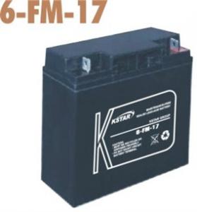 科士达蓄电池6-FM-17?